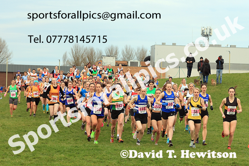 Senior womens 2024 NECAA Cross Country Champs., Temple Park, South Shields. Photo: David T. Hewitson/Sports for All Pics